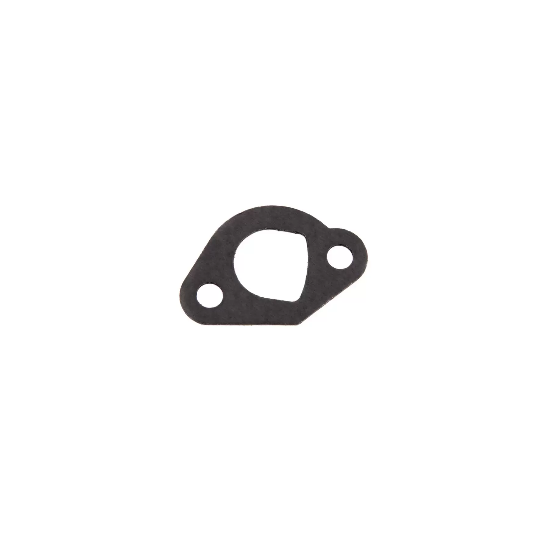 PPPW-2900 Exhaust Gasket - Image 1