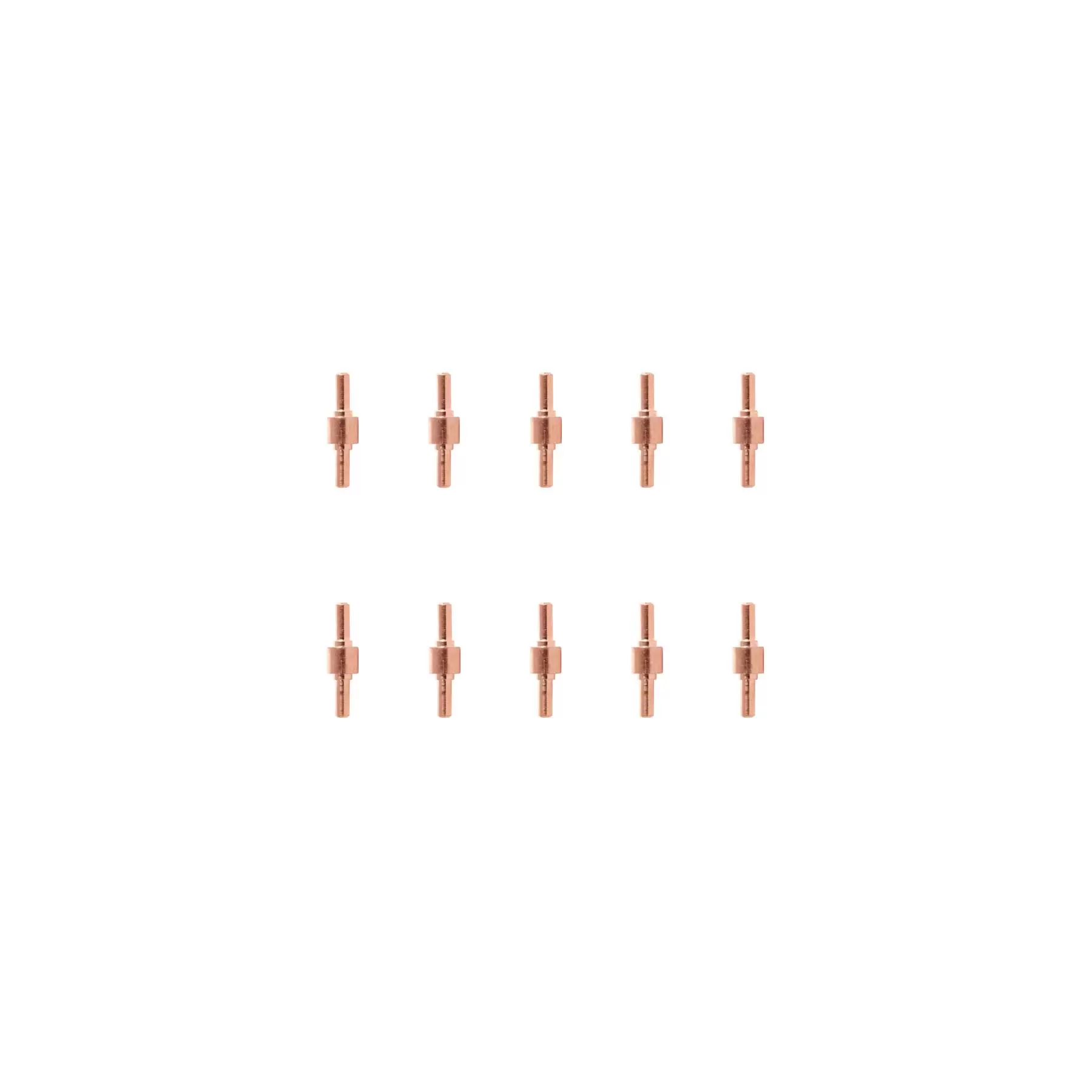 10 x Electrodes (PPC-30) 10 x Electrodes (PPC-30)
