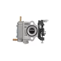 Carburettor (PGBV-2800)