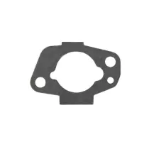 Air Intake Gasket (PPLM-17132)