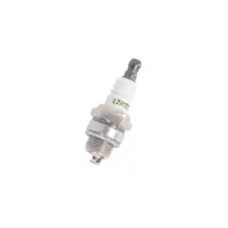 Spark Plug (L7RTC)