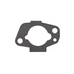 Air Intake Gasket (PPLM-17132)