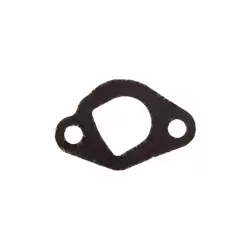 Exhaust Gasket (PPPW-3100)